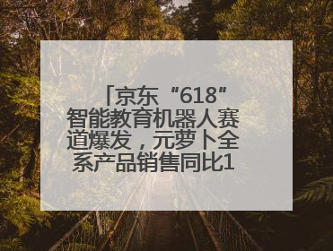 京东“618”智能教育机器人赛道爆发，元萝卜全系产品销售同比171%成黑马