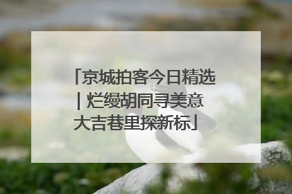 京城拍客今日精选｜烂缦胡同寻美意 大吉巷里探新标