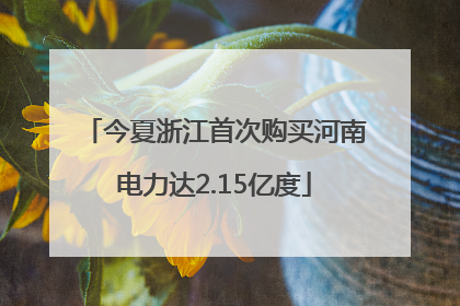 今夏浙江首次购买河南电力达2.15亿度