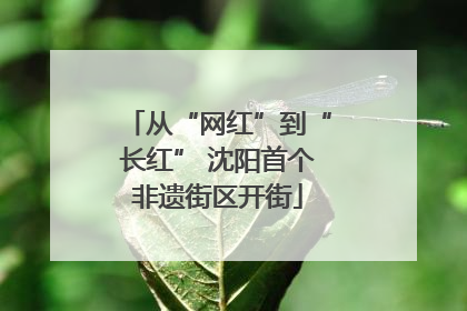 从“网红”到“长红” 沈阳首个非遗街区开街