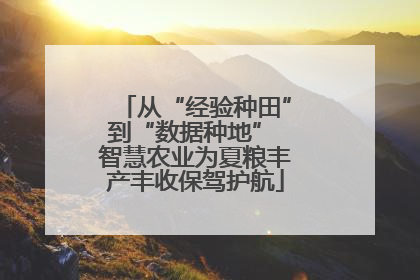 从“经验种田”到“数据种地” 智慧农业为夏粮丰产丰收保驾护航