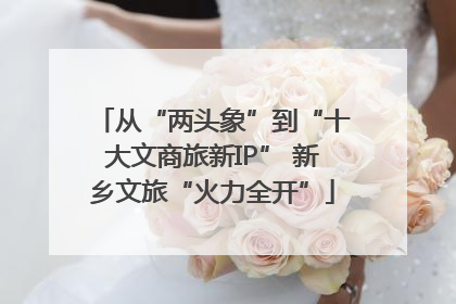 从“两头象”到“十大文商旅新IP” 新乡文旅“火力全开”