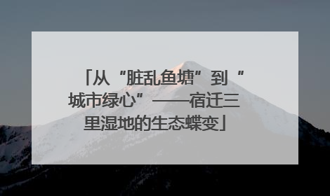 从“脏乱鱼塘”到“城市绿心”——宿迁三里湿地的生态蝶变