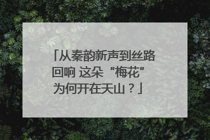从秦韵新声到丝路回响 这朵“梅花”为何开在天山？