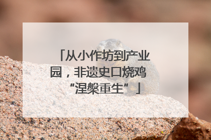 从小作坊到产业园，非遗史口烧鸡“涅槃重生”