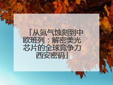 从氮气蚀刻到中欧班列：解密美光芯片的全球竞争力西安密码