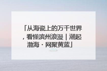 从海瓷上的万千世界，看懂滨州浪漫｜潮起渤海・网聚黄蓝