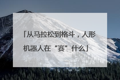 从马拉松到格斗，人形机器人在“赛”什么