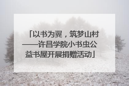 以书为翼，筑梦山村——许昌学院小书虫公益书屋开展捐赠活动