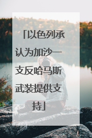 以色列承认为加沙一支反哈马斯武装提供支持