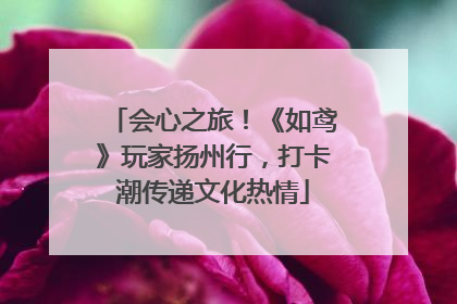 会心之旅！《如鸢》玩家扬州行，打卡潮传递文化热情
