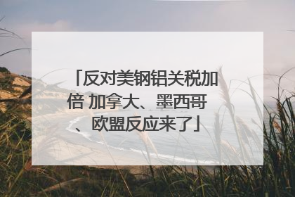 反对美钢铝关税加倍 加拿大、墨西哥、欧盟反应来了