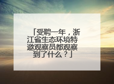 受聘一年，浙江省生态环境特邀观察员都观察到了什么？