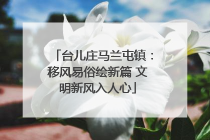 台儿庄马兰屯镇：移风易俗绘新篇 文明新风入人心