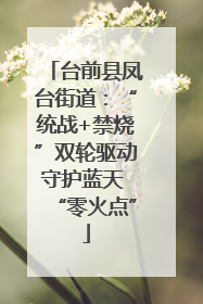台前县凤台街道：“统战+禁烧”双轮驱动守护蓝天 “零火点”