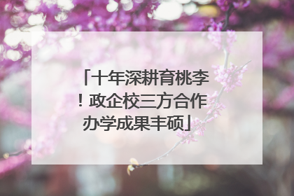 十年深耕育桃李！政企校三方合作办学成果丰硕