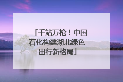 千站万枪！中国石化构建湖北绿色出行新格局