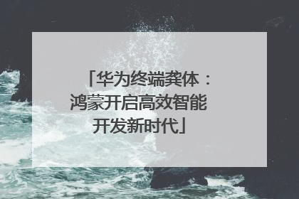 华为终端龚体：鸿蒙开启高效智能开发新时代