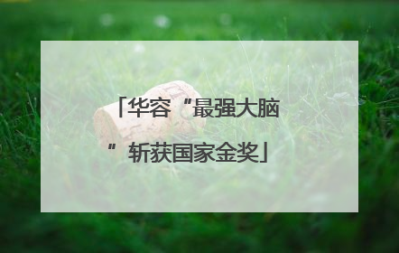 华容“最强大脑”斩获国家金奖
