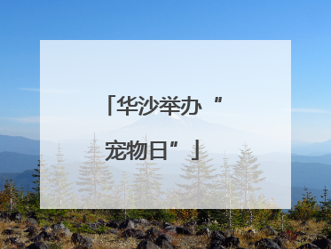 华沙举办“宠物日”