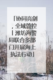 协同亮剑，全域管控丨潍坊海警局联合多部门开展海上执法行动