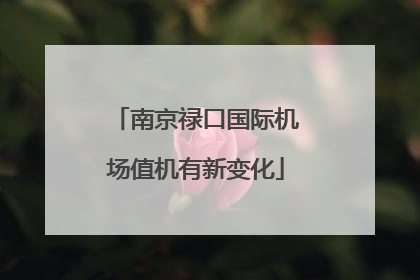 南京禄口国际机场值机有新变化