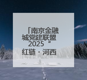 南京金融城党建联盟2025“红链・河西鹊桥”青年联谊派对甜蜜举办
