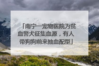 南宁一宠物医院为贫血警犬征集血源，有人带狗狗前来抽血配型