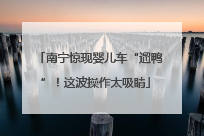 南宁惊现婴儿车“遛鸭”！这波操作太吸睛