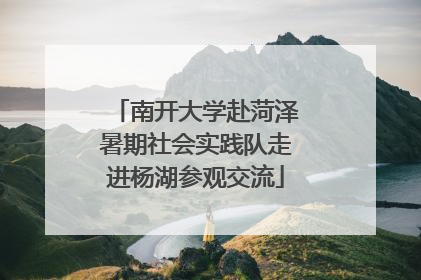 南开大学赴菏泽暑期社会实践队走进杨湖参观交流
