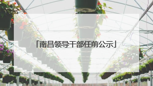 南昌领导干部任前公示