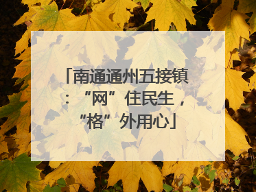 南通通州五接镇：“网”住民生，“格”外用心
