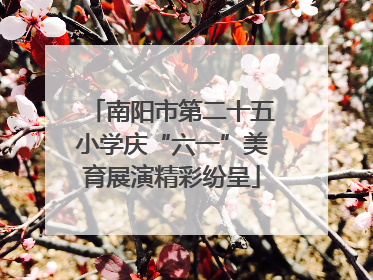 南阳市第二十五小学庆“六一”美育展演精彩纷呈