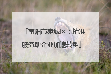 南阳市宛城区：精准服务助企业加速转型