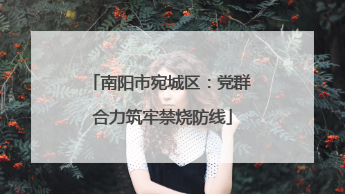南阳市宛城区：党群合力筑牢禁烧防线