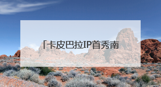 卡皮巴拉IP首秀南京路 拉动暑期步行街文旅消费新热潮