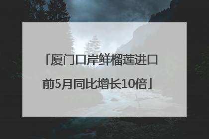 厦门口岸鲜榴莲进口 前5月同比增长10倍