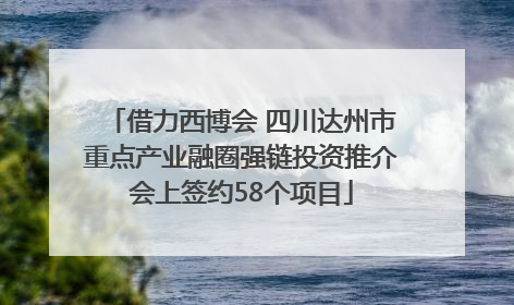 借力西博会 四川达州市重点产业融圈强链投资推介会上签约58个项目