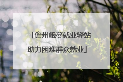 儋州峨蔓就业驿站助力困难群众就业