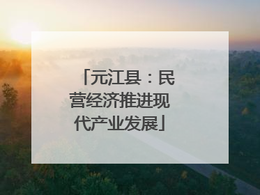 元江县：民营经济推进现代产业发展
