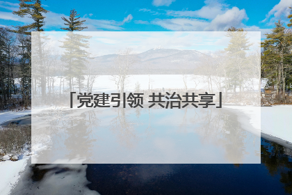 党建引领 共治共享