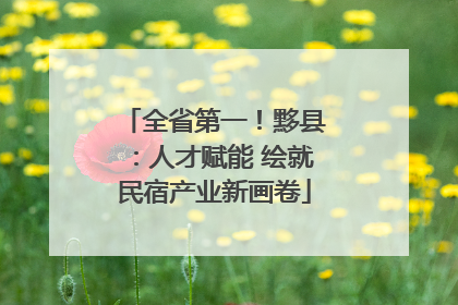 全省第一！黟县：人才赋能 绘就民宿产业新画卷