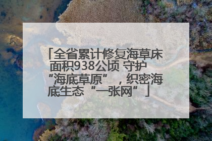全省累计修复海草床面积938公顷 守护“海底草原”，织密海底生态“一张网”