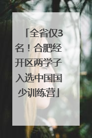 全省仅3名！合肥经开区两学子入选中国国少训练营