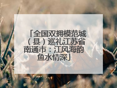 全国双拥模范城（县）巡礼江苏省南通市：江风海韵鱼水情深