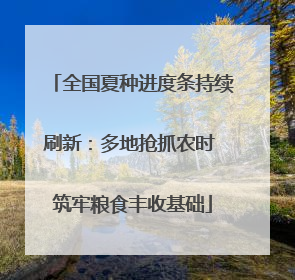 全国夏种进度条持续刷新：多地抢抓农时 筑牢粮食丰收基础