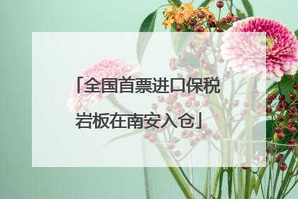 全国首票进口保税岩板在南安入仓