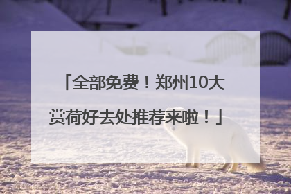 全部免费！郑州10大赏荷好去处推荐来啦！
