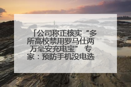 公司称正核实“多所高校禁用罗马仕两万毫安充电宝” 专家：预防手机没电选中等体积产品即可