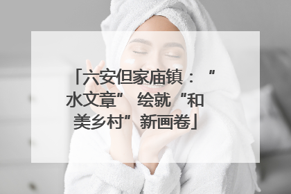 六安但家庙镇：“水文章” 绘就“和美乡村”新画卷